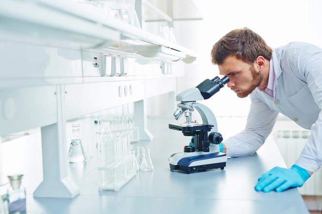 EHEC — опасный штамм бактерий кишечной палочки (E.coli).