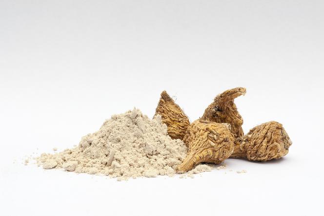 Корень маки для потенции и многого другого. Действие и применение корня мака