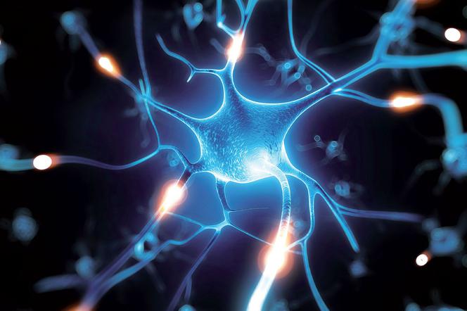 ХОБЛ: хроническая обструктивная болезнь легких [ИНТЕРВЬЮ]