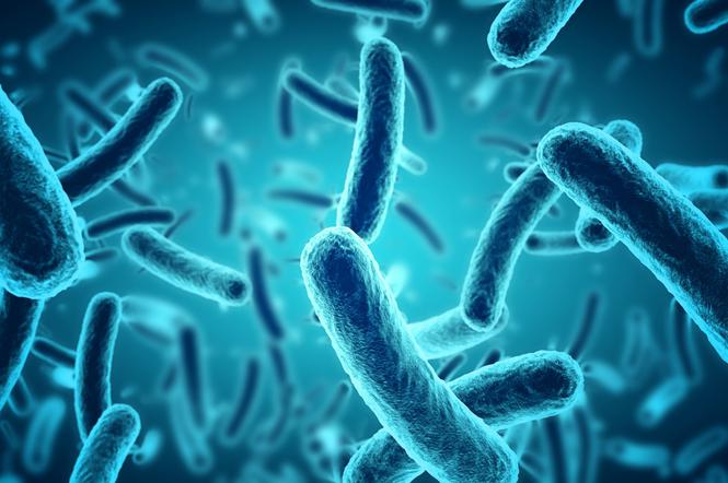 Как избежать заражения БАКТЕРИЯМИ E.COLI