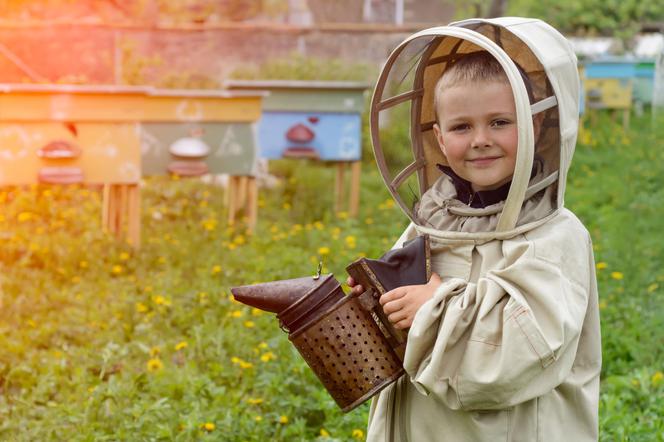 Укусы, ужаления и укусы, которые портят ваш отдых