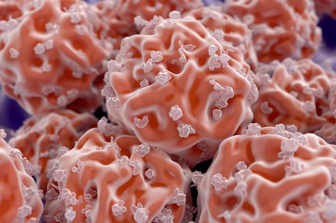 Сила стволовых клеток [ИНТЕРВЬЮ]